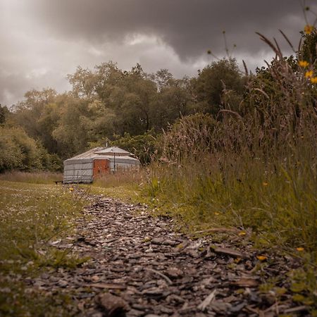 Gilfach Gower Farm Luxury Yurt With Hot Tub Hotel Аманфорд Екстериор снимка